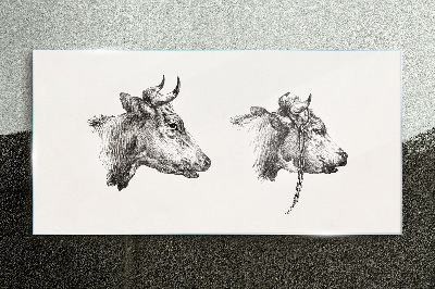 Portrait of two cows Glass Print