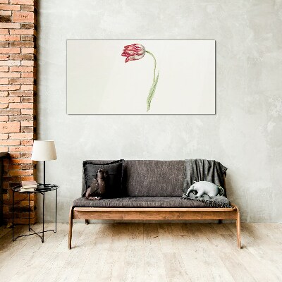 Tulip in delicate shades Glass Print