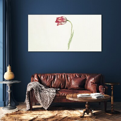 Tulip in delicate shades Glass Print