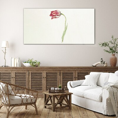 Tulip in delicate shades Glass Print