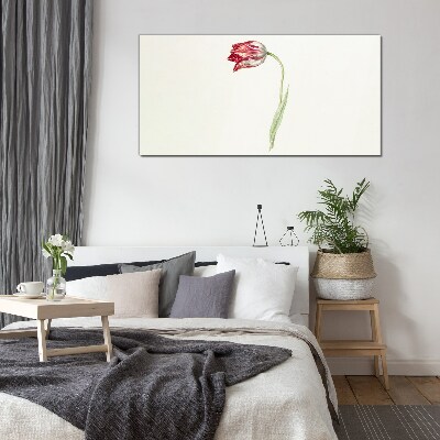 Tulip in delicate shades Glass Print