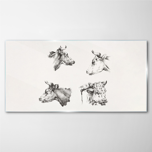 Black and white portrait of cattle Glass Print