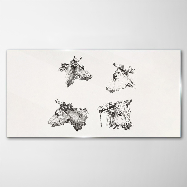 Drawing animals cows Glass Print