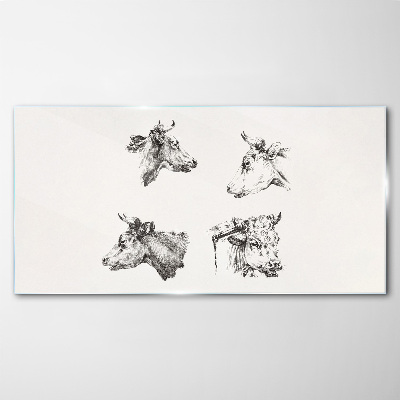 Black and white portrait of cattle Glass Print