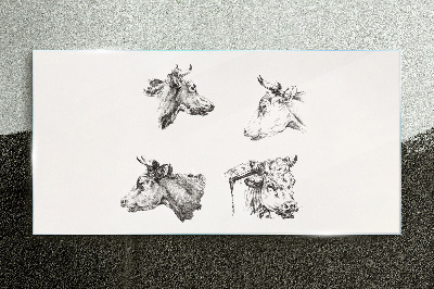 Black and white portrait of cattle Glass Print