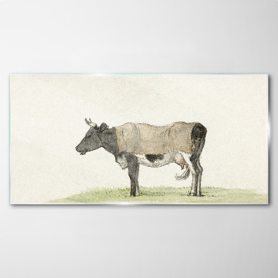 Cow in the meadow Glass Print