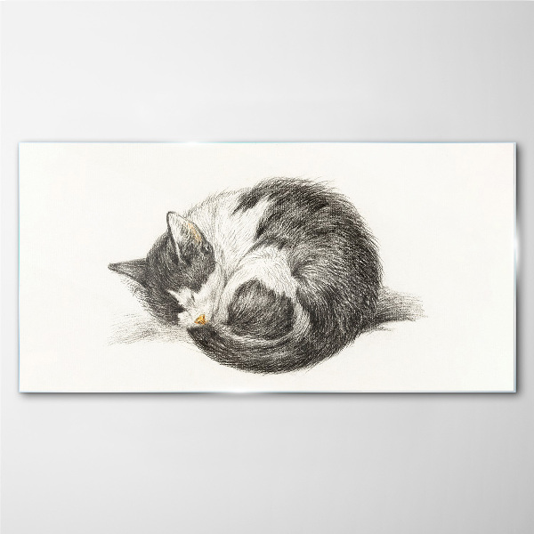 Cat's dream in monochromatic shades Glass Print