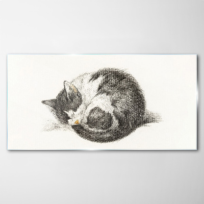 Cat's dream in monochromatic shades Glass Print