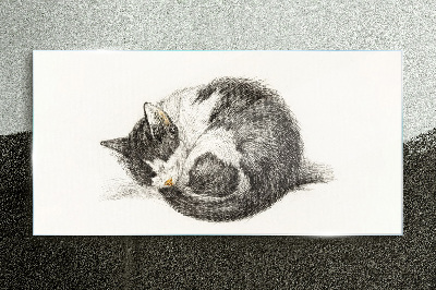Cat's dream in monochromatic shades Glass Print