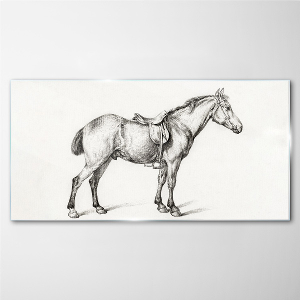 Drawing of a horse in the saddle Glass Print