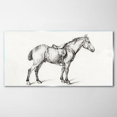 Drawing of a horse in the saddle Glass Print