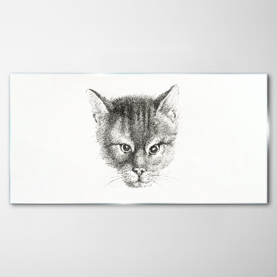 Portrait of a cat in shades of gray Glass Print