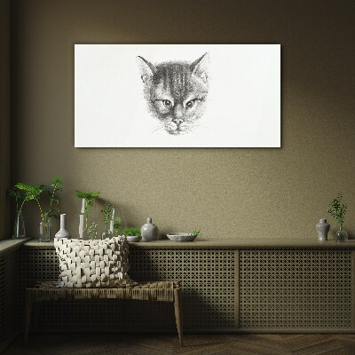Portrait of a cat in shades of gray Glass Print