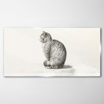 Sitting cat Glass Print