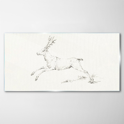 Jumping deer on white background Glass Print