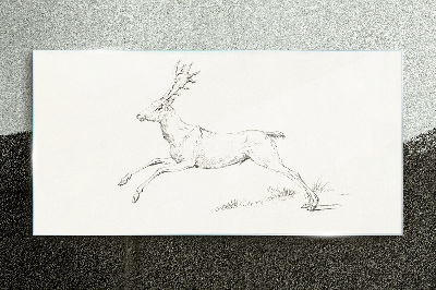 Jumping deer on white background Glass Print