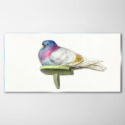 Colorful dove in pastel shades Glass Print