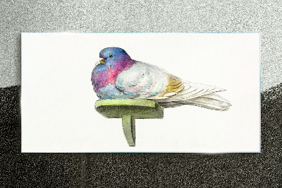 Animal bird dove Glass Print