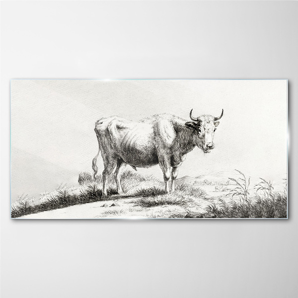 Black cow in the pasture Glass Print