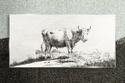 Black cow in the pasture Glass Print