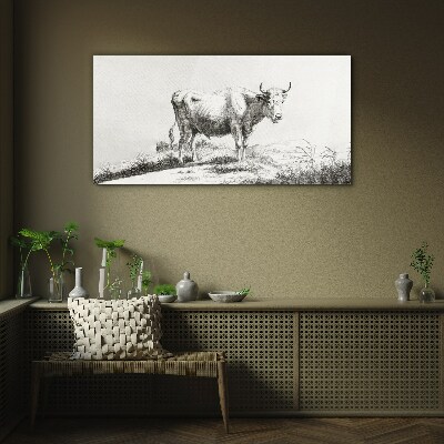 Black cow in the pasture Glass Print