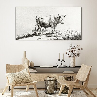 Black cow in the pasture Glass Print