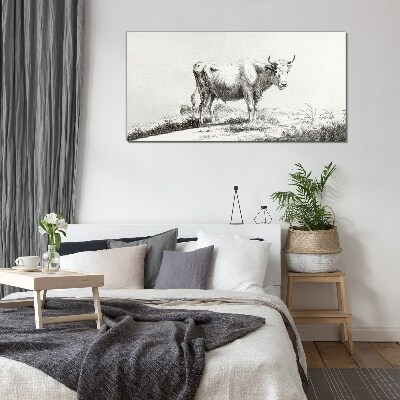 Black cow in the pasture Glass Print