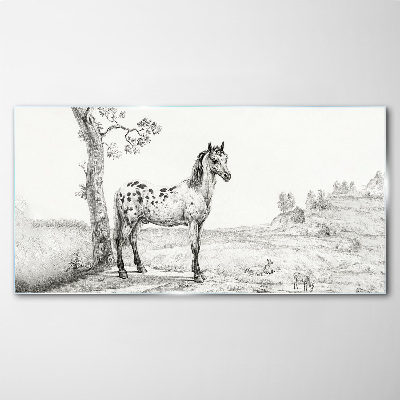 Horses in the landscape Glass Print