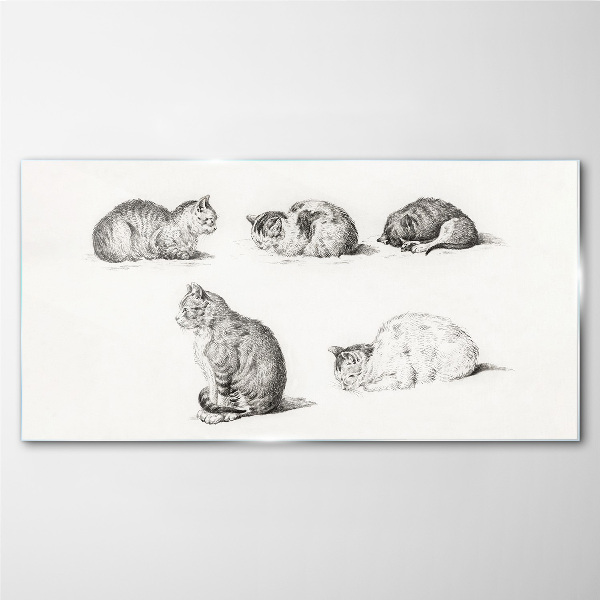 Different postures of cats Glass Print