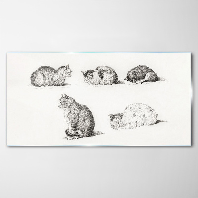 Different postures of cats Glass Print