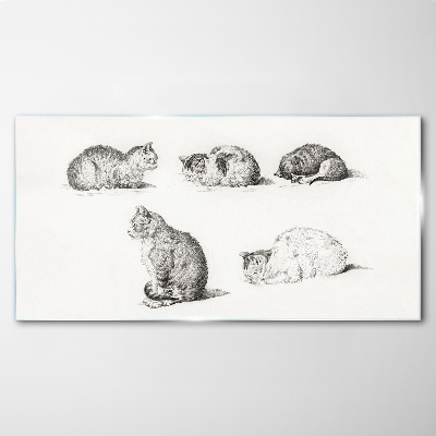 Drawing animals cats Glass Print