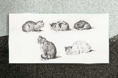 Different postures of cats Glass Print