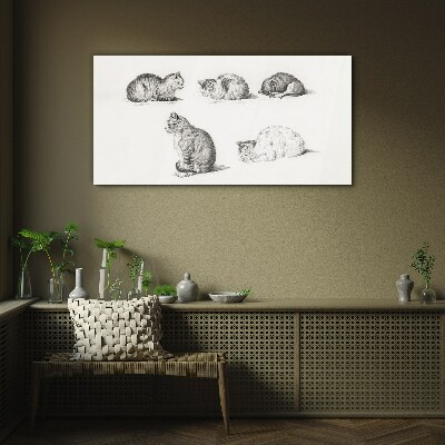 Different postures of cats Glass Print