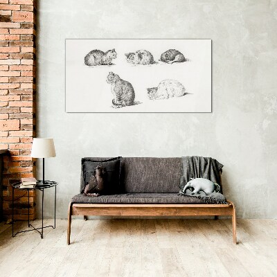 Different postures of cats Glass Print