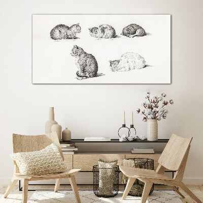 Different postures of cats Glass Print