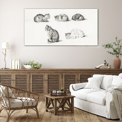 Different postures of cats Glass Print