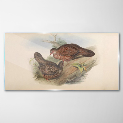 Animals birds beige Glass Wall Art