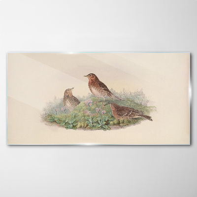 Animals birds beige Glass Wall Art