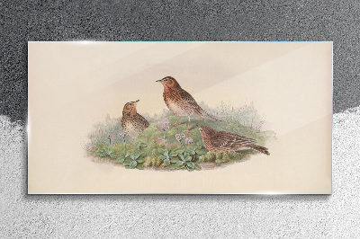Birds on a background of flowers Glass Wall Art
