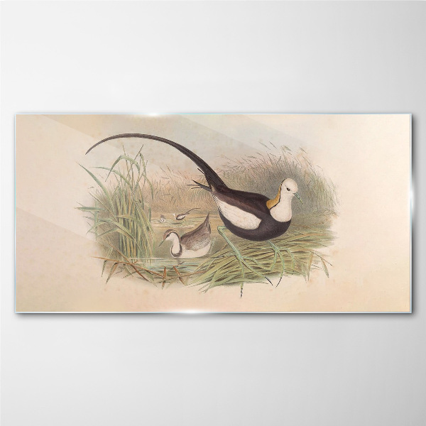 Birds in the grass Glass Wall Art