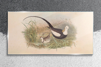 Birds in the grass Glass Wall Art