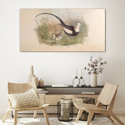 Birds in the grass Glass Wall Art