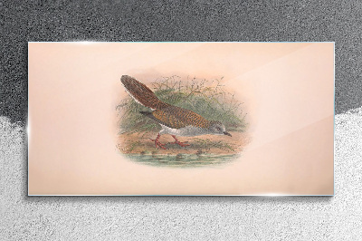 A bird above the water Glass Wall Art