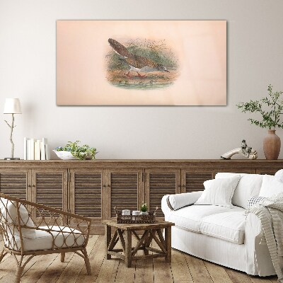 Birds animals figure Glass Wall Art