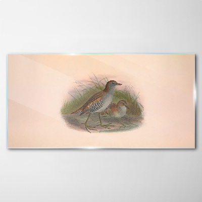 Birds in the grass Glass Wall Art