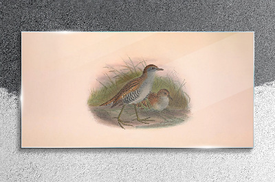 Birds in the grass Glass Wall Art