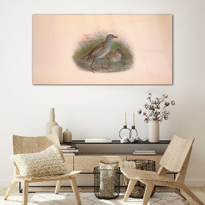 Birds animals Glass Wall Art