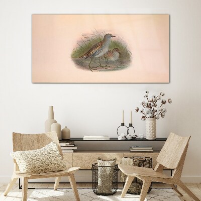 Birds in the grass Glass Wall Art