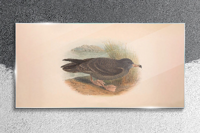 A bird on the water's edge Glass Wall Art