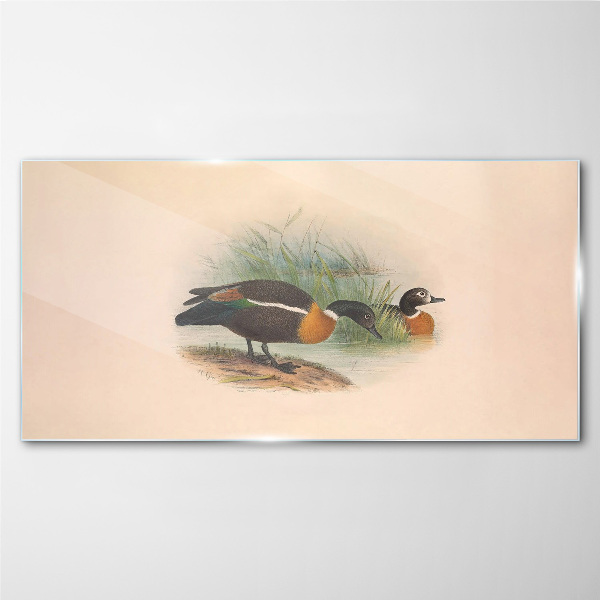 Two ducks in the grass Glass Wall Art